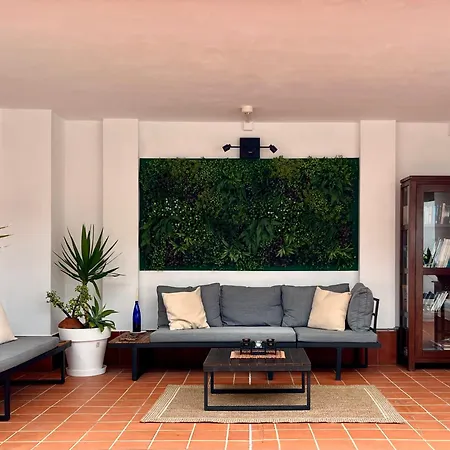 Verodes Jerez de la Frontera