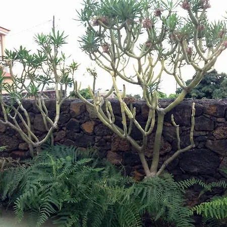 Apartament Verodes *