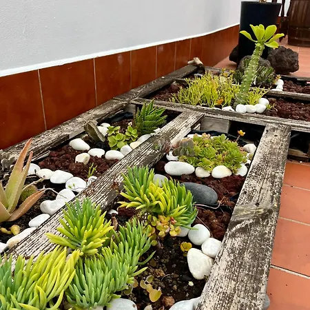 Verodes Jerez de la Frontera